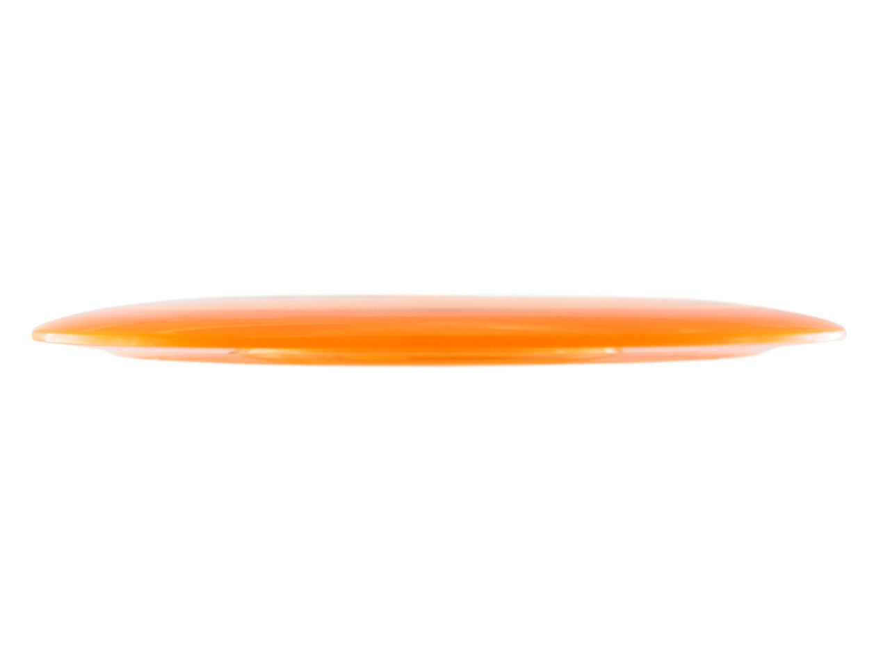 Innova Champion Tern