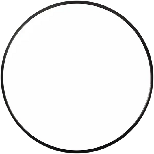 MVP Disc Sports Neutron Watt Blank
